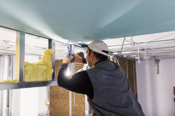 Best Commercial Insulation in Lone Pine, CA