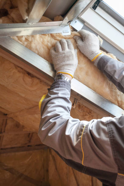 Best Insulation Maintenance and Repair in Lone Pine, CA